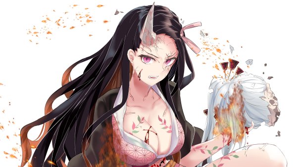 Demon Slayer nezuko Kamado