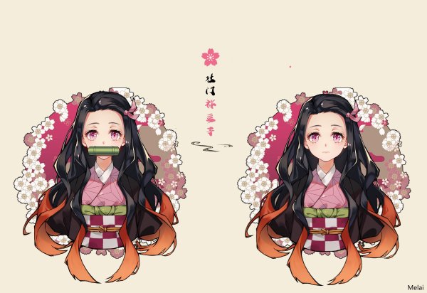 Demon Slayer nezuko Kamado