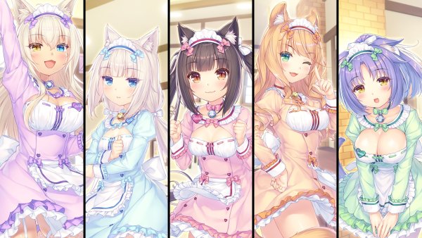 Кошачий рай Nekopara