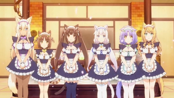 Nekopara аниме 2020
