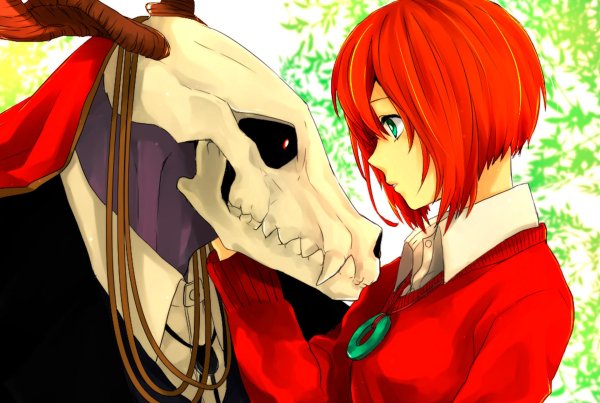 Невеста чародея / Mahoutsukai no Yome