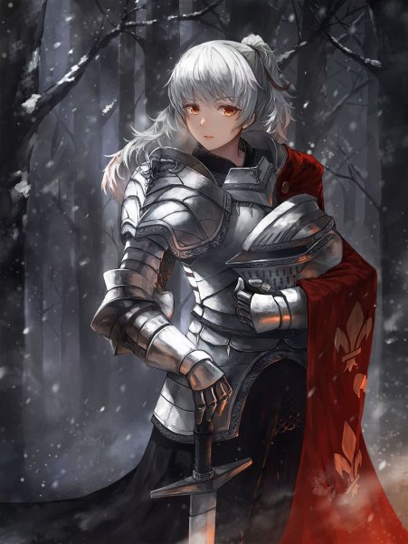 Рыцарь Эрин / Knight of Erin