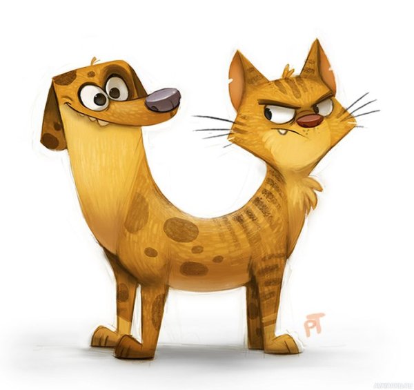 Котопес мультсериал