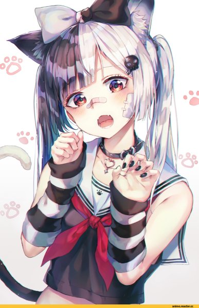 Neko горничные аниме