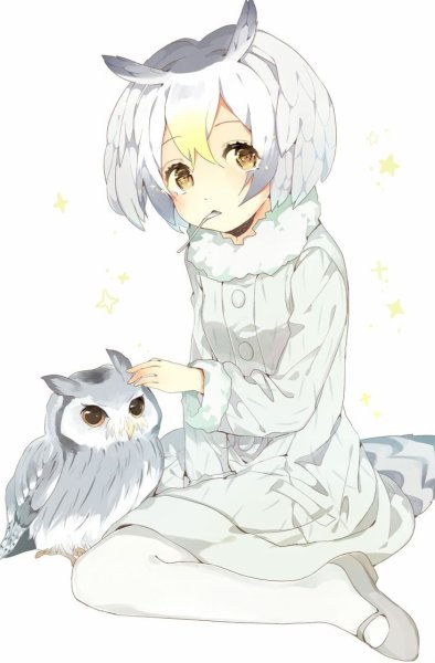 Kemono friends аниме Сова