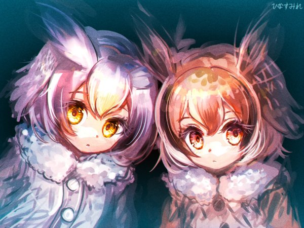Kemono friends Филин