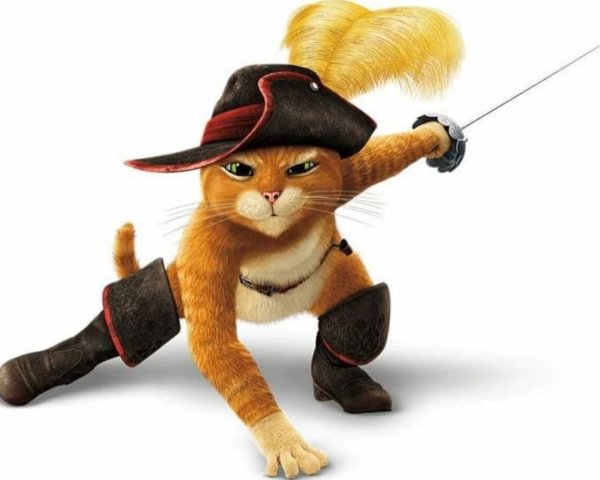 Шрек герои кот