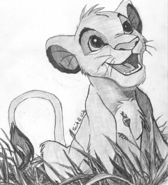 Король Лев для срисовки