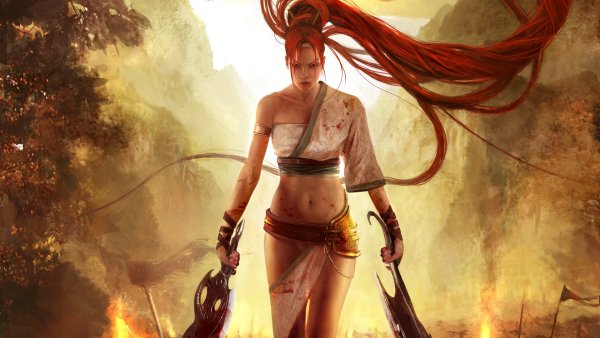 Heavenly Sword Нарико