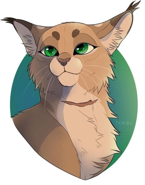 Коты Воители веснушка