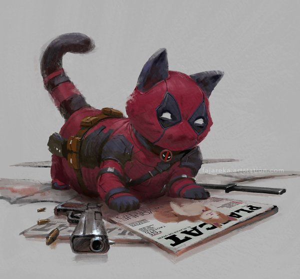 Кот Дэдпул