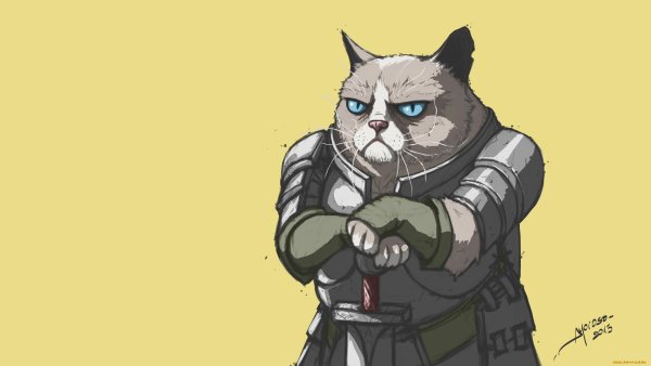 Кот в латах