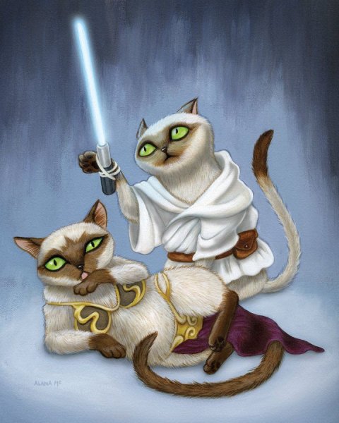 Коты джедаи