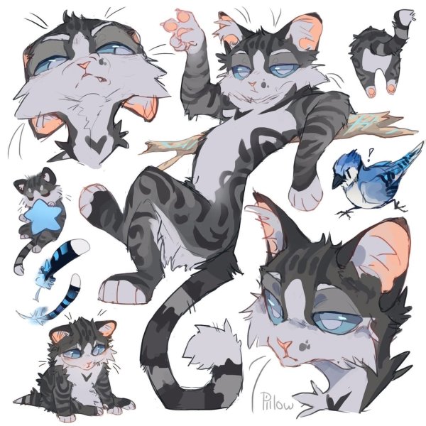 GRAYPILLOW коты Воители