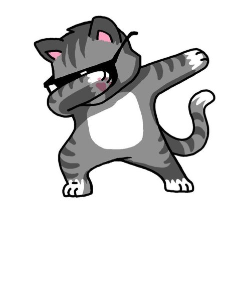 Кот картинка PNG