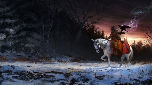 Всадник в зимнем лесу
