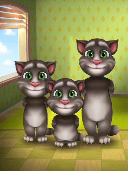 Talking Tom 2010