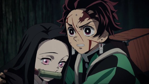 Demon Slayer Kimetsu no Yaiba