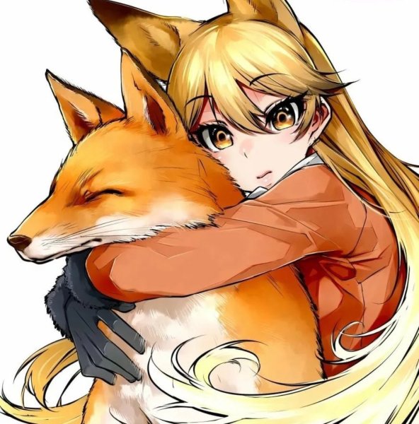 Ezo Red Fox