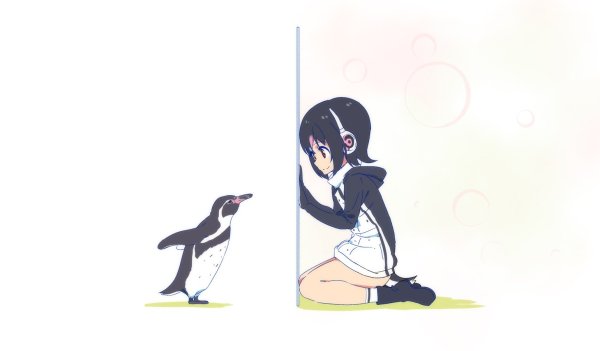 Арты аниме пингвины (41 фото)