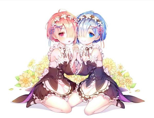 Re Zero рем и рам