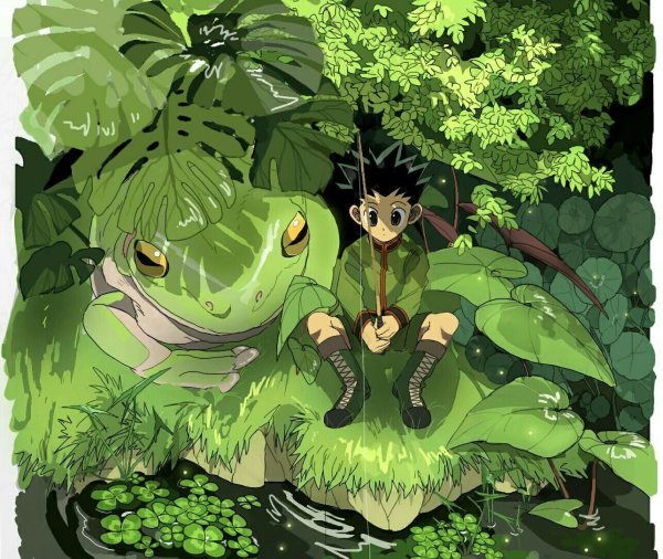Hunter x Hunter Гон и лягушка
