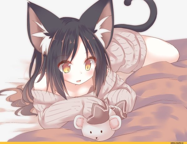 Аниме котики девушки