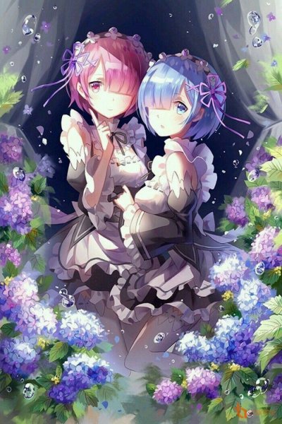 Re Zero рем и рам
