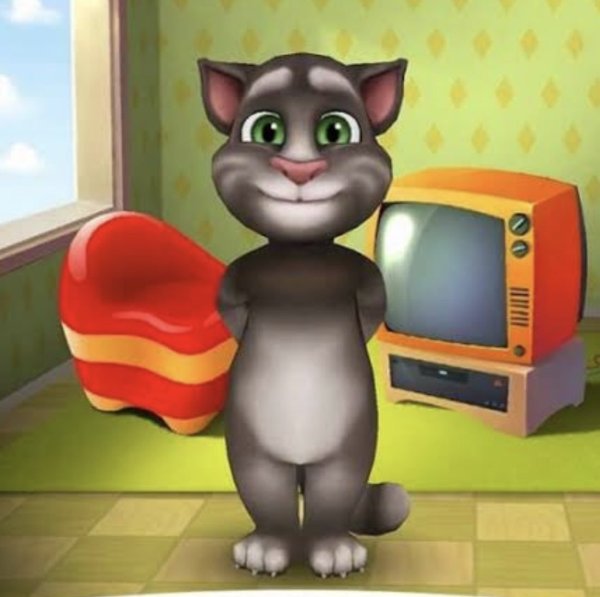Talking Tom 2007