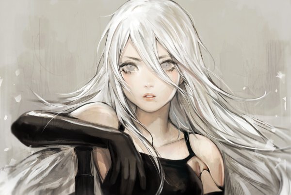A2 NIER