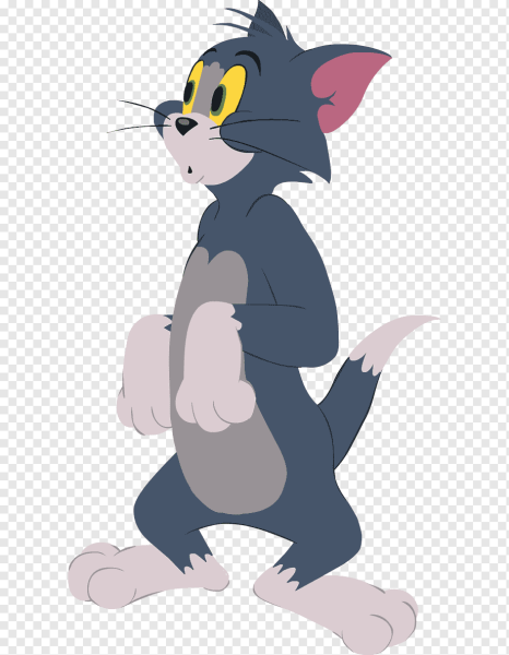 Кот том и Джерри