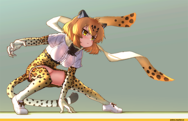 Kemono friends гепард