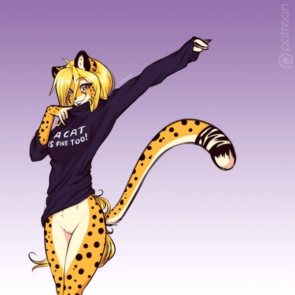 Furry гепард