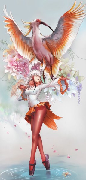 Kemono friends красноногий Ибис