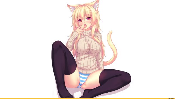 Fast Runner 2024 Tiffy панцу