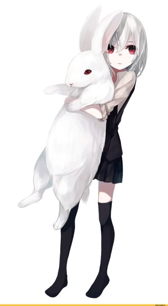 Персонаж Ogami Ren Roa