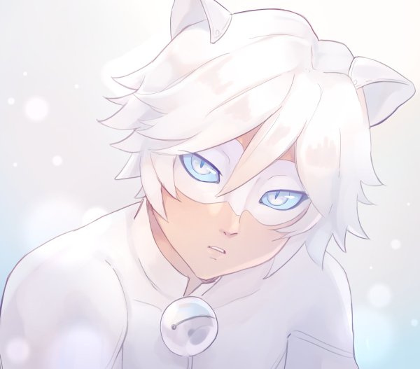 Кот Блан леди баг