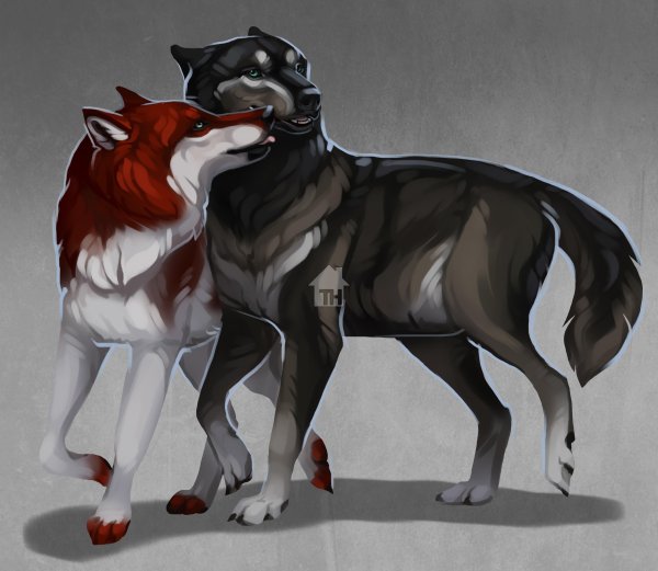 KFCEMPLOYEE Wolf