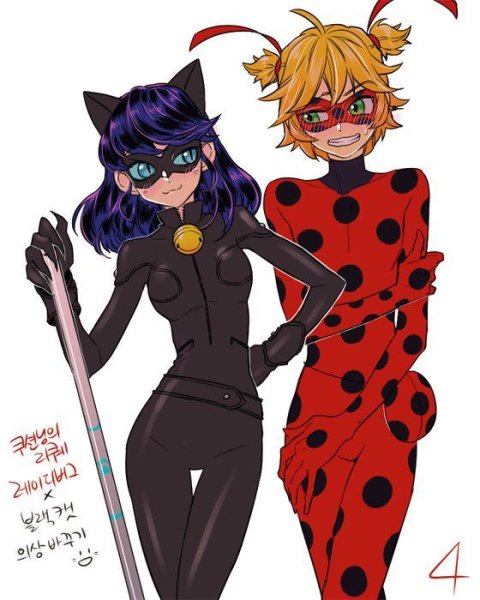 Леди Нуар Miraculous