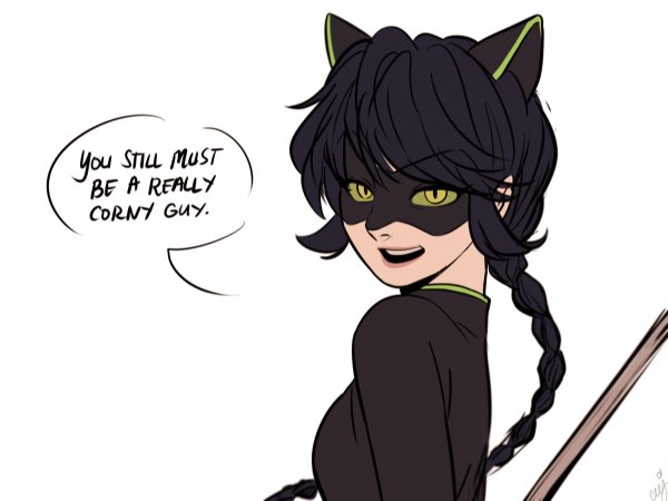 Miraculous Ladybug леди Нуар Мистер баг