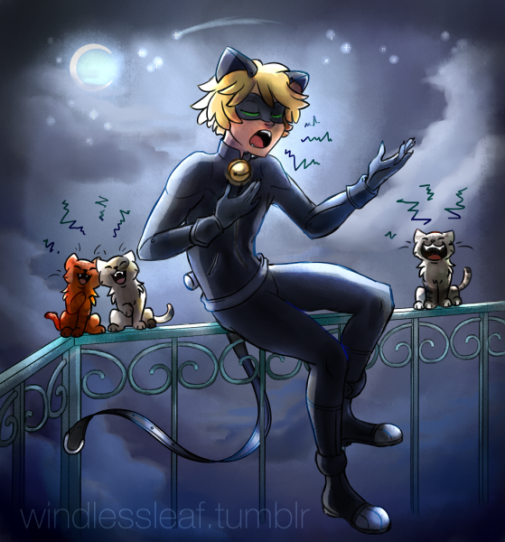 Леди Нуар и супер кот