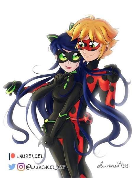 Miraculous Ladybug леди Нуар Мистер баг