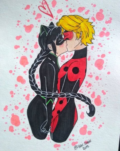 Miraculous Ladybug леди Нуар Мистер баг