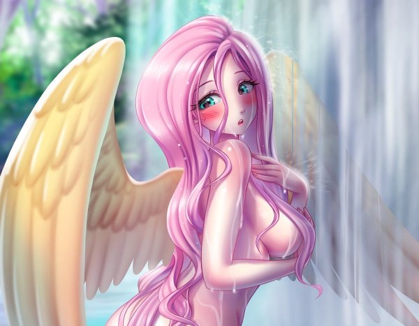 Fluttershy RACOONKUN