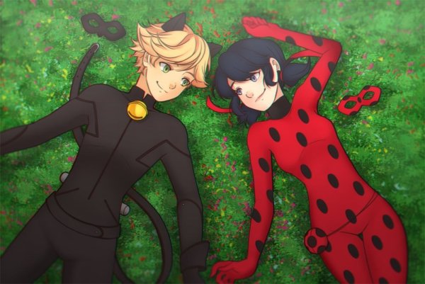 Леди баг и супер кот Miraculous