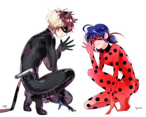Lady Bug and chat Noir 18