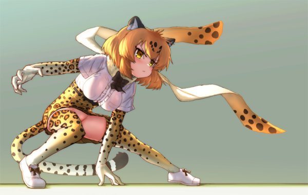 Kemono friends гепард