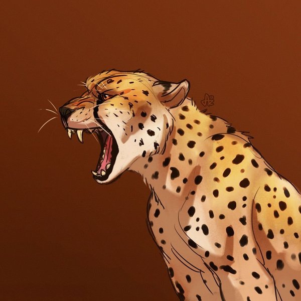 Арты леопард аниме (45 фото)