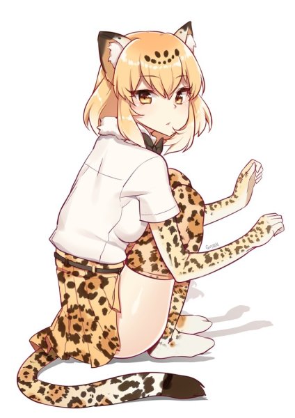 Kemono friends гепард