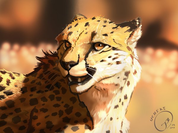 WILDCRAFT гепард арт